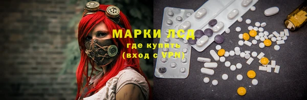 гашиш Богданович